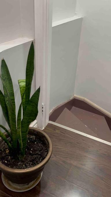 Bernie'S Basement Apartment มิลตัน ภายนอก รูปภาพ